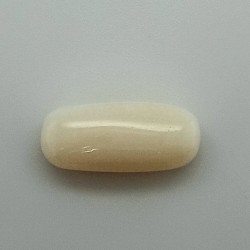 White Coral (Safed Moonga)  6.89 Ct Lab Tested